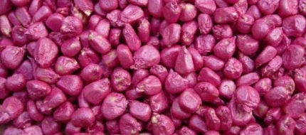 種子包衣測量方案- filmetrics F3-s1310 膜厚測量儀